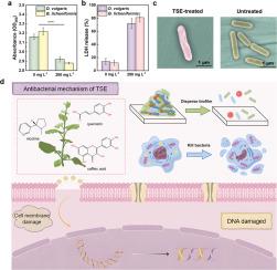 Bifunctional eco-friendly tobacco stem extract with antibacterial and corrosion inhibition properties for mitigating microbiologically influenced corrosion