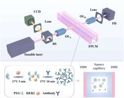 Modification-free optofluidic Fabry-Pérot capillary microcavities for ultra-sensitivity biosensing
