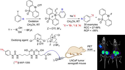 A Multistep, One-Pot Bismuth-Mediated Radiohalogenation Method for Preparation of Radiopharmaceuticals for Imaging and Targeted Therapy