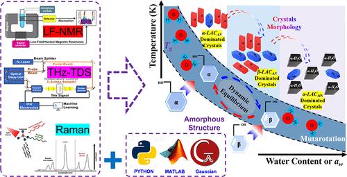 Advanced Spectroscopic Techniques for Lactose Crystallization Analysis: Investigating Water Participation in Crystal Morphology