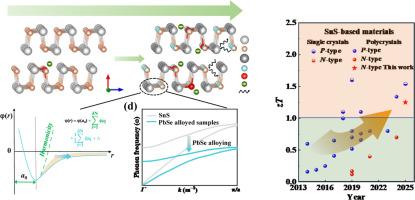 Achieving superior thermoelectric performance in N-type SnS-based polycrystals by regulating donor dopability and phonon propagation