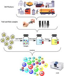 Engineered methionine-functionalized magnetic nanobiocomposites for precision biomonitoring of petroleum-driven heavy metal contamination in occupational and environmental health