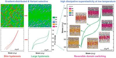 Phase-field simulations of precipitation induced high dissipative superelasticity at low temperatures in shape memory alloys