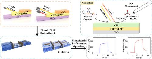 The coordination of thermoelectric and photoelectric effects through tailoring the heat-driven electric field revealed by a “ship-lock”-based thermoelectric material