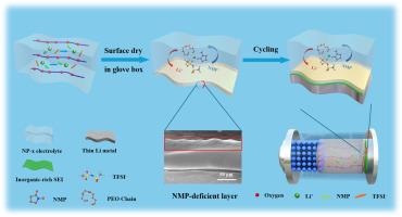 Bulk-surface engineering of PEO-based electrolytes via controlled [NMP-Li+] coordination for room-temperature quasi-solid-state lithium metal batteries