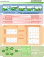 Dynamics of blue carbon across various estuaries: Key drivers and pathways