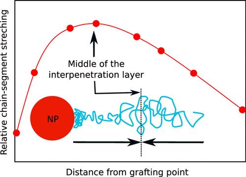 Structure and Dynamics of Polymer Segments in Polymer-Grafted Nanoparticle Melts