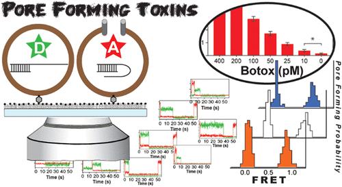 A Biosensor Platform for Detecting the Dissipation of Transmembrane Gradients in Single Liposomes