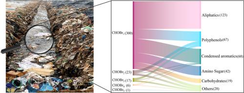 Brominated organic compounds in leachate across China: Occurrence and molecular variations