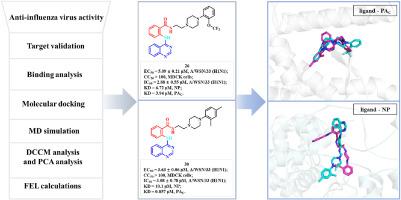 Quinazoline-based dual-target inhibitors disrupt influenza virus RNP complex: Rational design, synthesis and mechanistic validation of potent anti-influenza agents