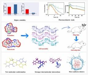 Synergistic enhancement of anti-migraine efficacy through supramolecular self-assembly of tizanidine with meloxicam