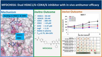 Design and synthesis of novel cyclin-dependent kinase 4/6(CDK4/6) and histone deacetylase (HDAC) dual inhibitors: In vitro and in vivo anticancer activity