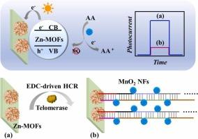 An in situ quenching photoelectrochemical biosensor sensitized with dual-amplification DNA circuit for telomerase activity detection in HeLa cells
