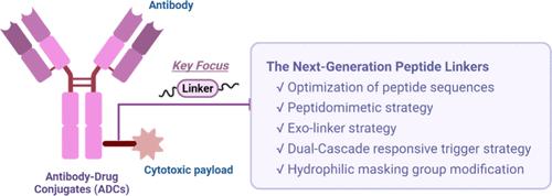 Recent Advances in Peptide Linkers for Antibody-Drug Conjugates