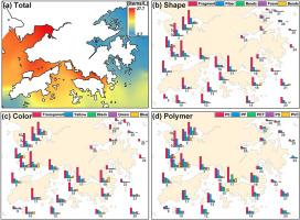 Disentangling the anthropogenic and environmental correlates of microplastic pollution in the coastal waters of a metropolis in Southern China