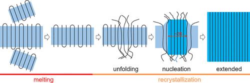 Chain-End Modifications Suppressing Lamellar Thickening of Short Semicrystalline Polymers under Isothermal Annealing: Molecular Dynamics Simulations
