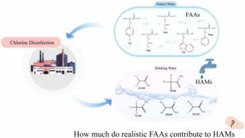 Revealing the impact of side-chains in amino acids on the formation of haloacetamides during chlorination