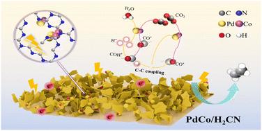 Nitrogen vacancies rich C3N4 supported PdCo catalyst for selective photocatalytic CO2 reduction to C2H4