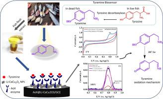 Amine oxidase@Li-CaCu2O3 based electrochemical biosensor for the detection of tyramine in marine fishes and crab