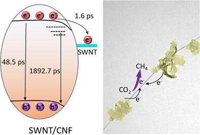 Enhancing Photocatalytic CO2 Reduction via Robust Polymer Fragment–Single-Walled Carbon Nanotube Heterojunction Engineering