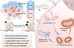 A mitochondria-targeted NIR fluorescent probe with pH-switchable viscosity response and photodynamic therapy via an O2‑independent photocatalyst