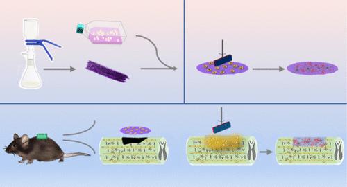MXene Film-Mediated Wireless Magnetoelectric Stimulation to Promote Neuronal Differentiation in Spinal Cord Injury Neural Stem Cell Therapy