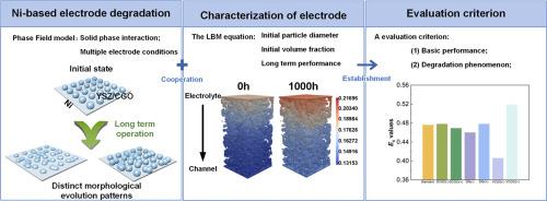 Microstructural evolution-driven degradation of nickel-based SOFC anodes: Insights from mesoscale modeling