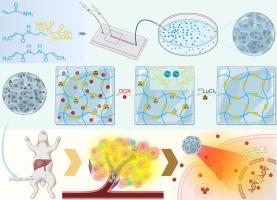 Disphosphate based hydrogel microspheres for targeted transarterial radioembolization and chemoembolization therapies