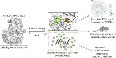 Orthosteric–allosteric dual inhibitors of PI5P4Kγ with potent antitumor activity in non-small cell lung cancer