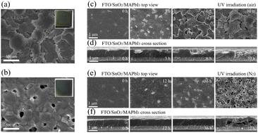 A customized fullerene based metal oxide electron transport layer surface activity inhibitor to enhance the operational stability of perovskite solar cells