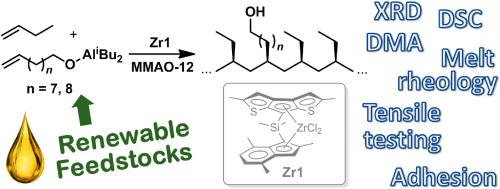 Isotactic copolymerization of but-1-ene with polar vinyl monomers: the effect of ω-alken-1-ol comonomer content on phase behavior, melt rheology, mechanical and adhesive properties of functionalized poly(but-1-ene)s