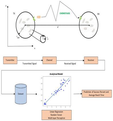 Predictive Modeling of Bacteria-Based Nanonetwork Performance Using Simulation-Driven Machine Learning and Genetic Algorithm Optimization