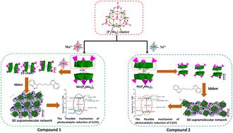 Two reduced phosphomolybdate-based metal–organic complexes modified by tunable bis-1H-benzimidazole ligands for enhanced photocatalytic Cr(VI) reduction