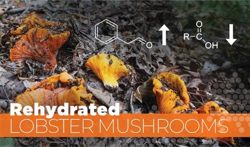Characterization of Important Odorants in Rehydrated Lobster Mushrooms