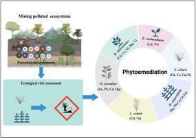 Mining driven pollution impact on ecosystem health and its retrieval through green technology: A nature based sustainable solution