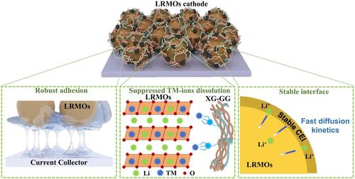 Mitigating Voltage Decay and Enhancing Structural Stability of Li-Rich Cathodes via a Robust Polysaccharide Binding Network