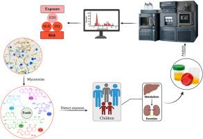 Children's exposure to mycotoxins and risk characterization using urinary biomarkers in São Paulo, Brazil