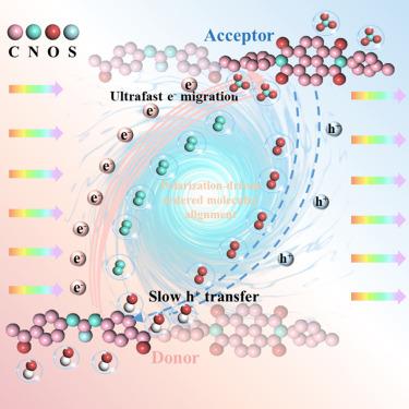 Dual-polarity engineering breaks charge transfer kinetic balances to enhance H2O2-mediated nitrate photosynthesis from air
