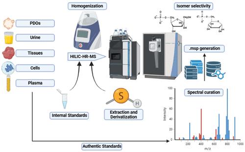 UCL-MetIsoLib: A Public High-Resolution Tandem Mass Spectrometry Library for HILIC-Based Isomer-Resolved Profiling of Glycolysis, Central Carbon Metabolism, and Beyond in Urine, Plasma, Tissues, Cells, and Patient-Derived Organoids