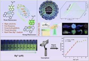 A novel 1,8-naphthalimide-based fluorescent probe for selective and portable detection of Hg2 + in environmental and food samples