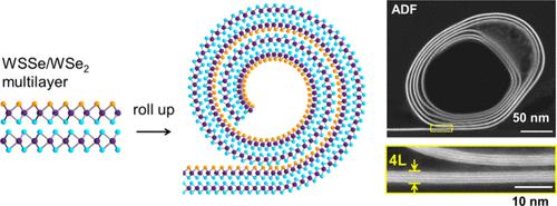 Tunable-Diameter Nanoscrolls from Janus WSSe/WSe2 Heterostructures