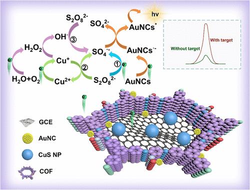 Active Radicals Enriched by the Nanoconfinement Effect Synergistically Enhance Electrochemiluminescence with a Co-Reaction Accelerator for Zearalenone Detection