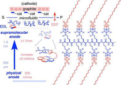 Organocatalytic Microfluidic Double-Layer Capacitors.