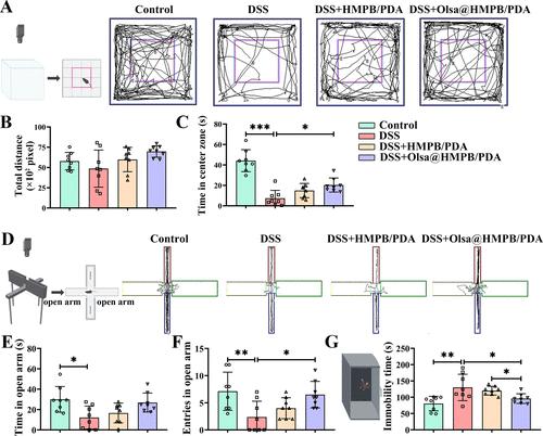 Correction to “An Olsalazine-Loaded Hollow Mesoporous Prussian Blue/Polydopamine Nanozyme Alleviates Anxiety/Depression-like Behavior and Enhances Brain Neural Activity in Colitis Mice”