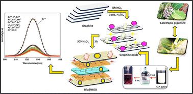 A novel synthesis of hybrid graphene oxide as a dual-functional fluorescent chemosensor for Ti4+ ion detection and antibacterial performance via simultaneous oxidation and functionalization