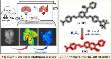 Construction of a hydrogen peroxide-responsive near-infrared fluorescent probe and the biological application in tracking inhalation lung injury