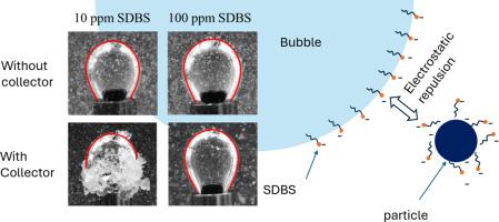 Influence of ionic surfactant contaminants on polystyrene-air bubble interactions for microplastics removal from wastewater