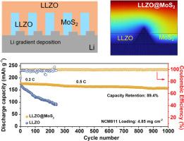 An Janus-type buffer layer with ion conductive and electron insulative interface enabling dendrite-free solid-state lithium metal batteries