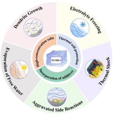 Hydrogel Electrolytes for Temperature Robust Aqueous Zinc-Ion Batteries