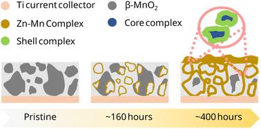 Spatial and chemical heterogeneity in aqueous Zn/MnO2 batteries: role of Zn and Mn containing complexes